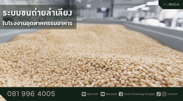 ระบบขนถ่ายลำเลียง มีบทบาทสำคัญสำหรับไลน์ผลิตอาหาร ซึ่งทำหน้าที่ลำเลียงวัตถุดิบแห้ง ไปยังส่วนอื่นๆของสายการผลิต